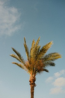Аватар https://s3.votby.ru/nado/yousef-salhamoud-EmaNvKiiOu0-unsplash1.jpeg